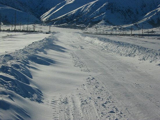 Dichtgesneeuwde weg
