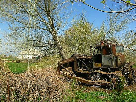 Foto van het omduwen van een boom met de bulldozer