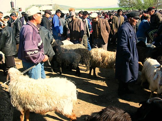 Wekelijkse veemarkt in Wanovka