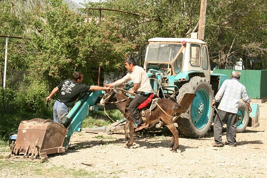 Ezel en graafmachine