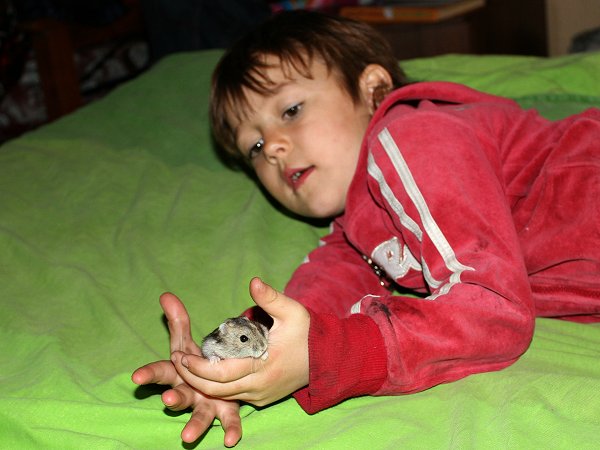 Isabel met hamster