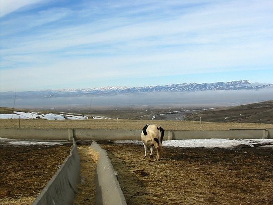 Foto van mist in het dal tussen de Karatau en Tien Shan