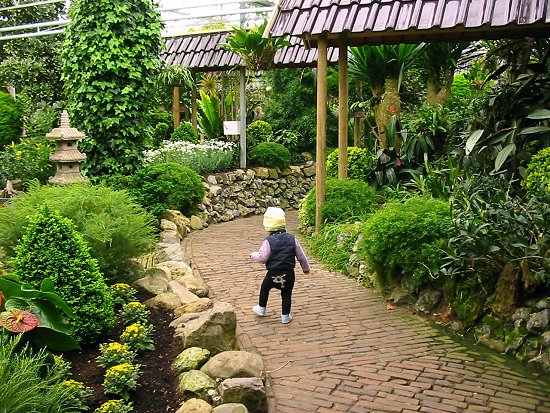 Nathalie op stap in de tropische tuin