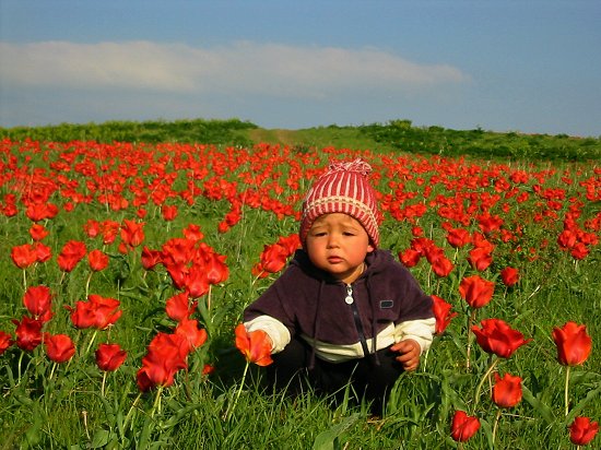 Foto van Nathalie op Krasne Gorky tussen de tulpen