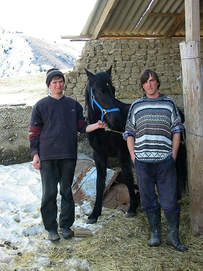 Foto van Kole, Zhenja en een paard met het nieuwe halster