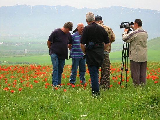 Televisie interview tussen de tulpen