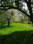 Voorjaar in de tuin