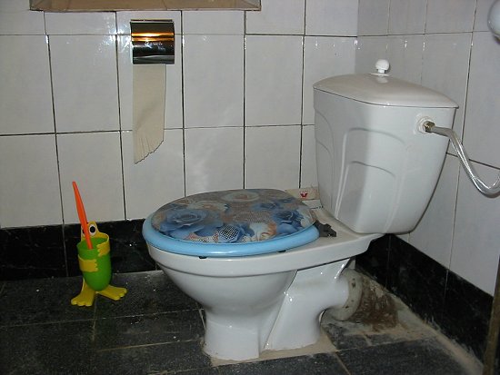 Ons nieuwe toilet