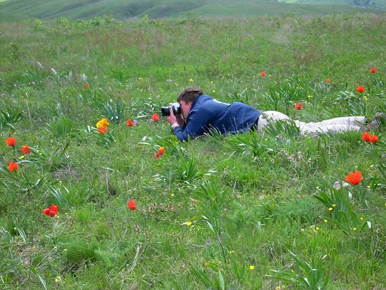 Tweelingbroer als tulpenfotograaf